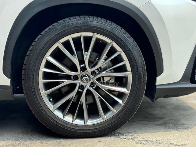 2023 Lexus NX250 Version L 2.5 / Pan Roof - 5