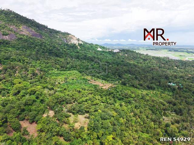 GOOD INVESTMENT Durian Farm Yan Kedah FOR SALE 1