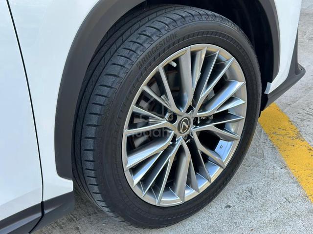 2022 Lexus NX 250 2.5 LUXURY (A) - 5