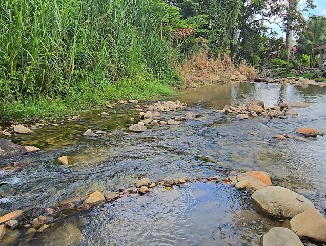 (WOW! SUNGAI 100M DARI TANAH!) Tanah Pertanian, Janda Baik, Pahang 1