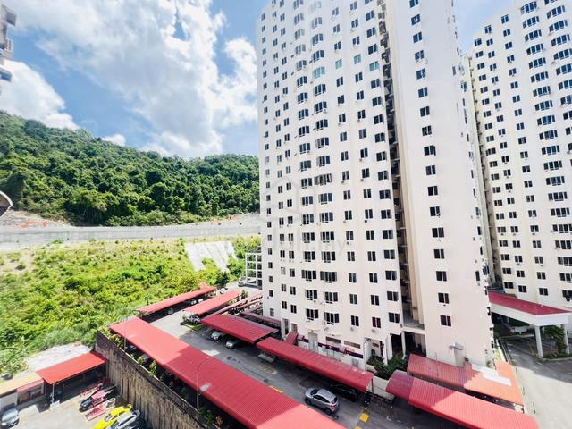Greenlane Heights 1