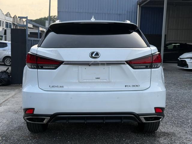 2021 Lexus RX300 F-SPORT AWD GRADE 5A 14,000km - 4