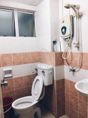 Pelangi Damansara Block F Single Executive Room 4