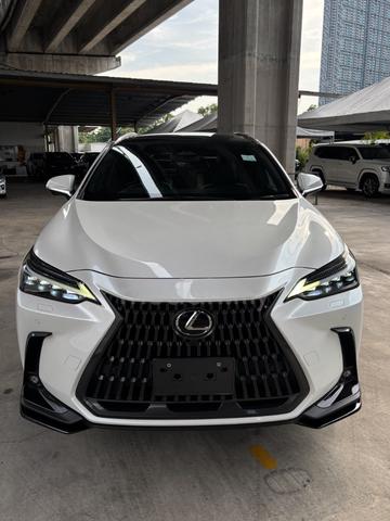 2023 Lexus NX 250 2.5 LUXURY (A) Mark Levinson - 3