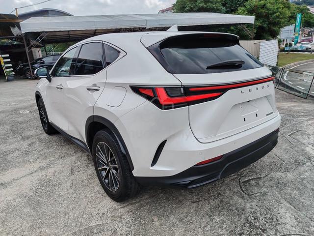 2023 Lexus NX 250 2.5 Standard 360 Camera 4.5B - 4