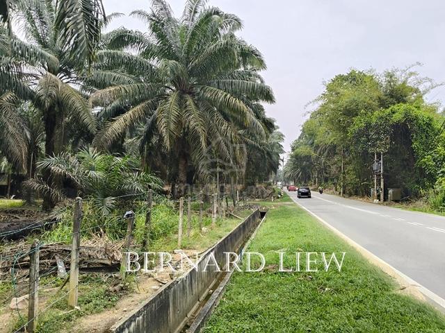 11.844ac Sg Lembu Roadside 1st Grade Oil Palm Land FOR SALE 1
