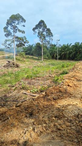 Tanah dah siap clearing di Kerdau utk dijual - freehold,open title 2