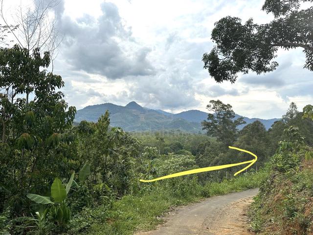 Tanah Geran Individu Tepi Jalan Kampung, K.kangsar perak - Full Loan 1