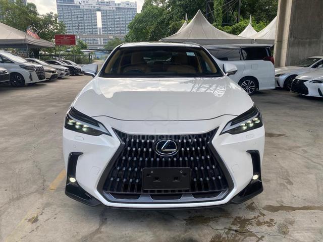 2023 Lexus NX250 2.5 LUXURY S/R HUD BSM DIM 360 PS - 1