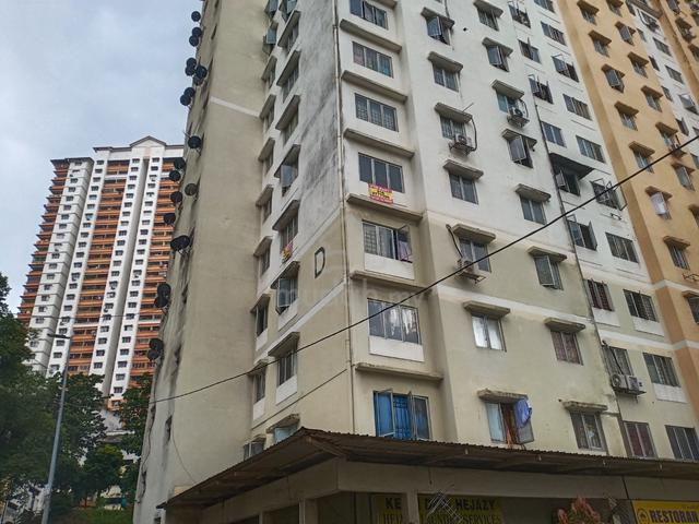 Flora Damansara 1