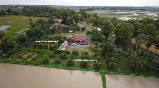 Tanah Kampung, Rumah dan Bendang untuk dijual 1