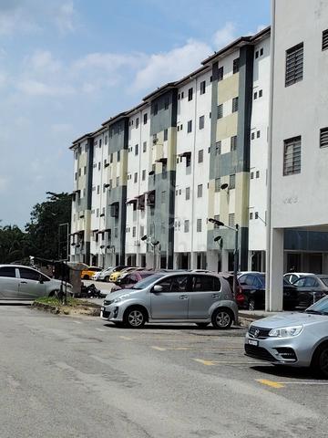 Kelompok Seri Anggerik 1