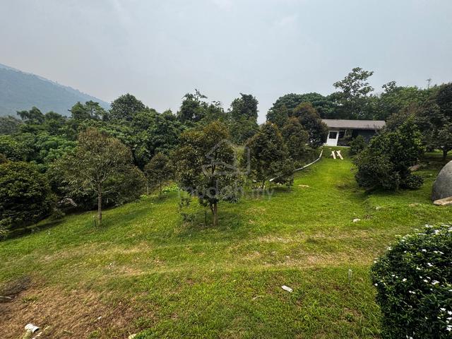 3.26 EKAR Tanah kebun durian + Bungalow Lubok Merbau Kuala Kangsar 1