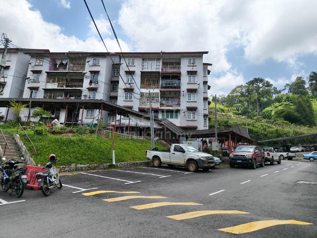 Evergreen Villa  1