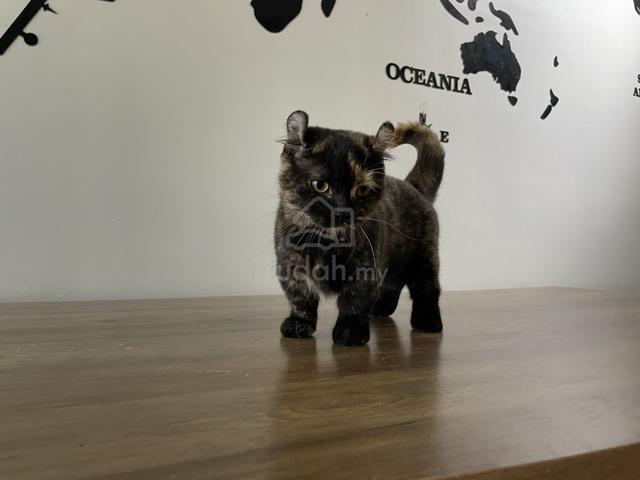 Carousel Image
