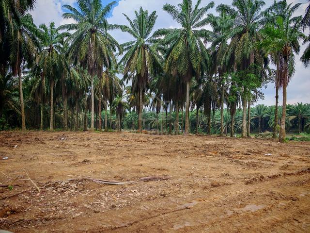 Kampung Seelong Jaya. Converted Medium Industry Land For Sale 1