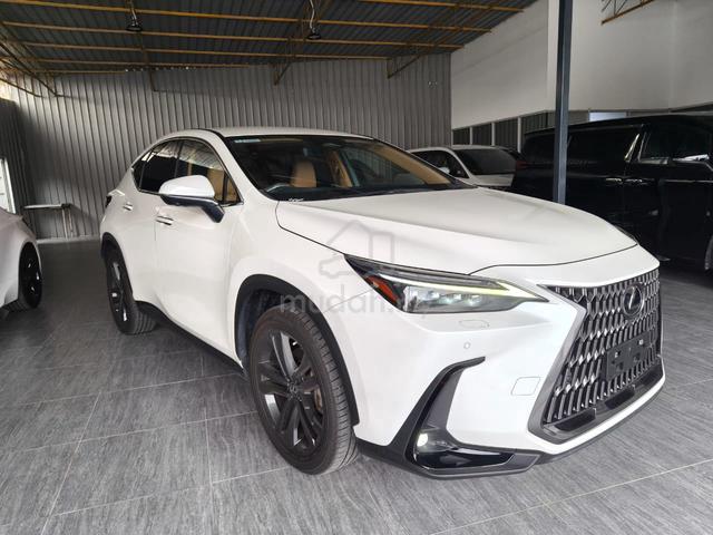 2022 Lexus NX250 2.5 LUXURY (A)5A 22 UNREG - 1