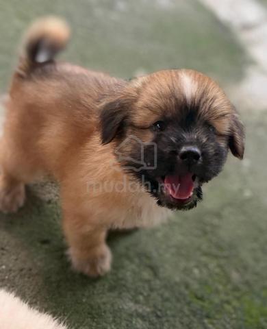Carousel Image