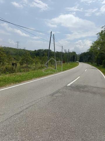 玲珑榴莲 Lenggong Perak Flat Land Durian Orchard 17Ekar Road Side For Sale 2