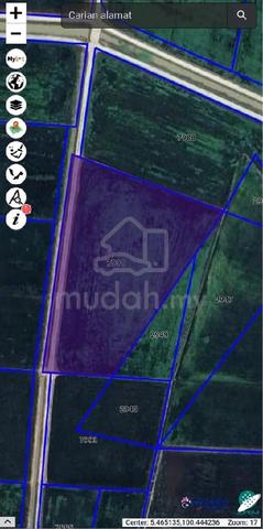 Tanah Sawah Padi 1