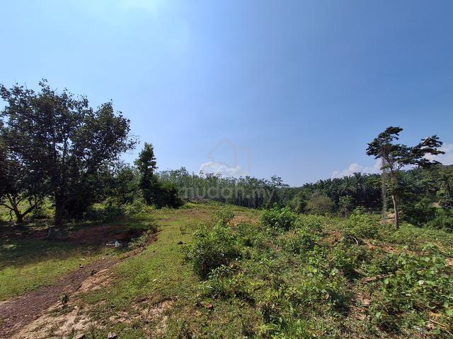 Tanah untuk dijual 3