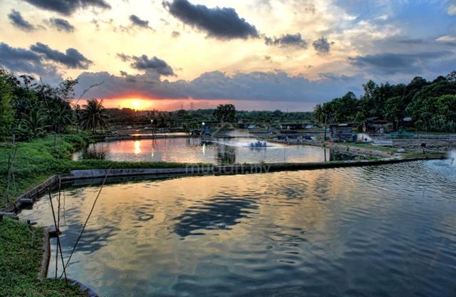 Freehold Agriculture Land Teluk Jawa Masai 2.73 Acres easy Access 1