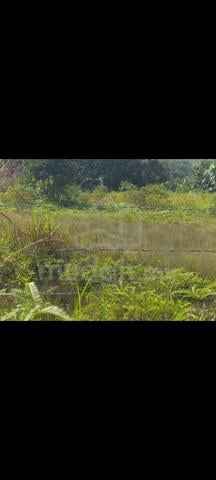 TANAH KEBUN Di BUKIT TAGAR, RAWANG 1