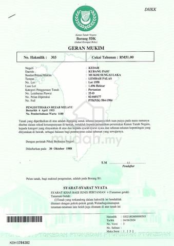 Tanah pertanian, Changloon, Kedah 1