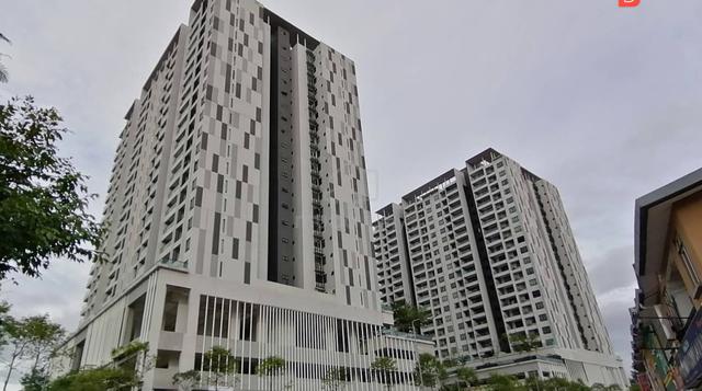 Paragon 3 1
