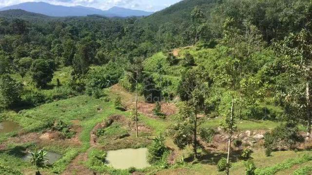 Perak Kuala Kangsar Agricultural Freehold Land For Sale 1