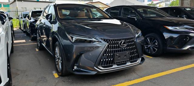 2023 Lexus NX250 2.5 LUXURY (A) - 1