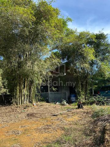 Tanah kebun utk dijual 1