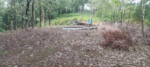 Tanah Pertanian Kg Gemeh Tangkak 1