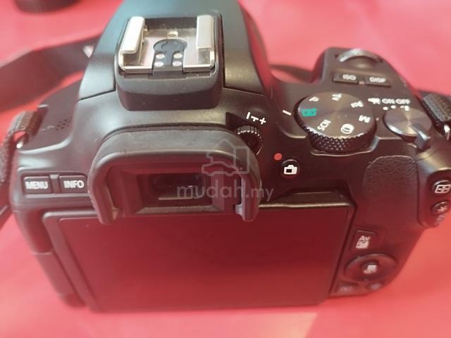 Canon EOS 250D DSLR + 18–55mm Kit Lens + 50mm STM  - photo 6 of 6
