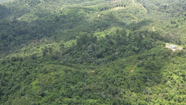 Kajang Ulu Langat Cheap FREEHOLD land near Monkey Canopy sg long 1