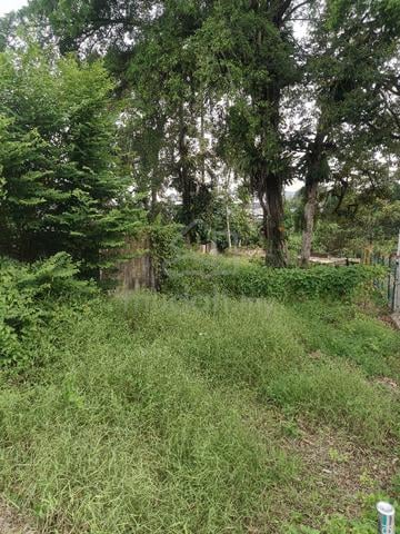 Tanah untuk dijual 1