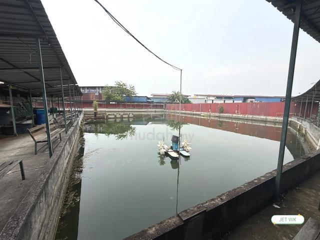 FOR RENT FISHING POND KOLAM PANCING 钓鱼虾场 seksyen 33 bukit kemuning 1