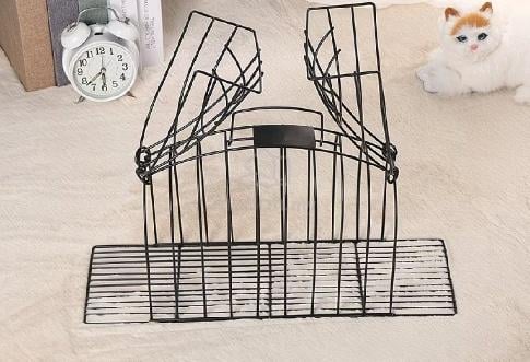 Carousel Image