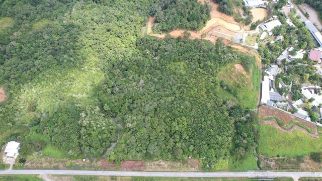 Lot 87, Sungai Puah, Tebedu, Kayan Land District 1
