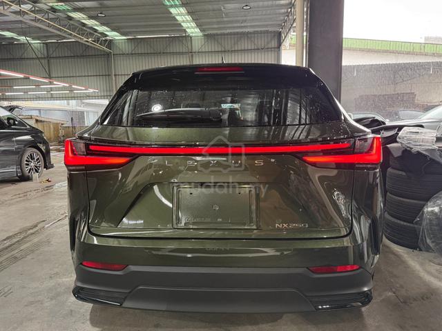 2023 Lexus NX250 Green Terrane Khaki Mica Metal - 3