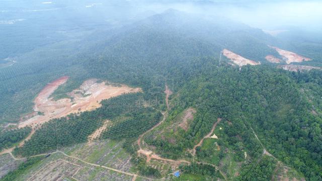 80 acres Tanah tanaman at Mukim Kampong Gajah Bukit Tunggal 1