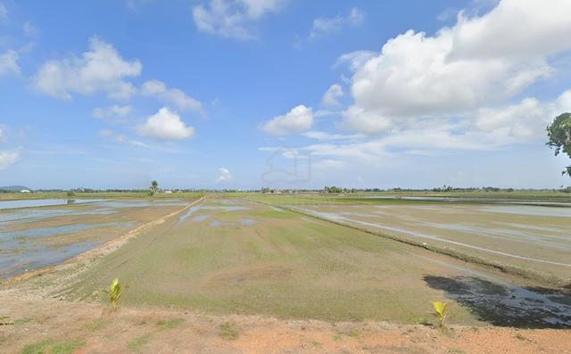 Tanah Pertanian Di Mukim Sala Besar, Yan, Kedah 1
