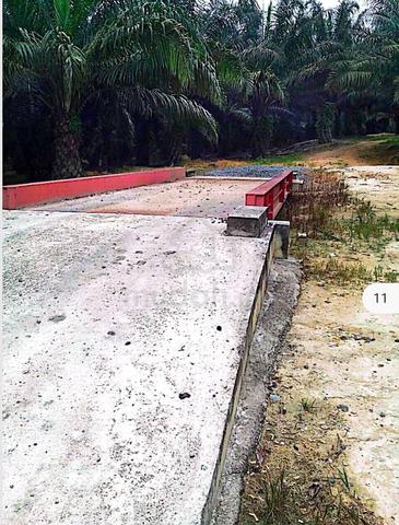 Ladang kelapa sawit 500 ekar good roi tanah psk cash buyer Rompin 5