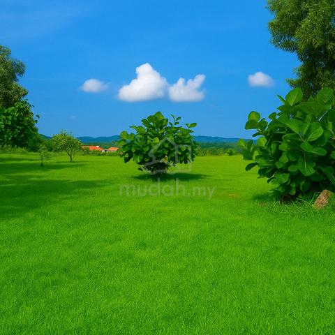 Bungalow Plot 11,104 sq ft  Hill Top, Flat Surface, Panoramic View 4