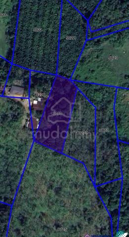 Tanah Kebun Berbaloi Di Kedah 1