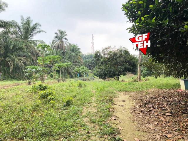 1.02 acre Agricultural land | Gajah Mati | Near Machang Bubok 1