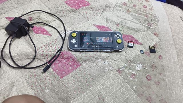 swap dngn nitendo switch 2 - photo 2 of 6