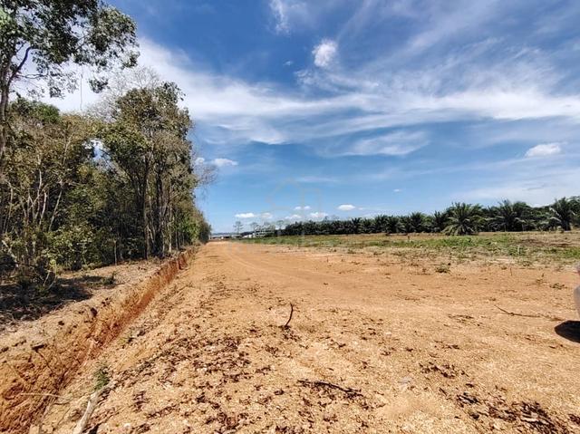 EASY ACCESS Agriculture Land Changlun For Sale 1