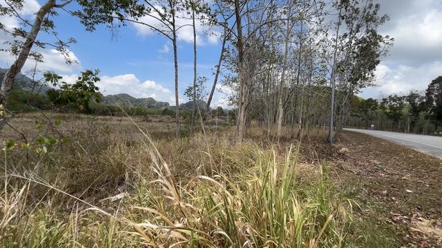 Tanah Kosong di Jalan Besar Kaki Bukit - Wang Kelian 1