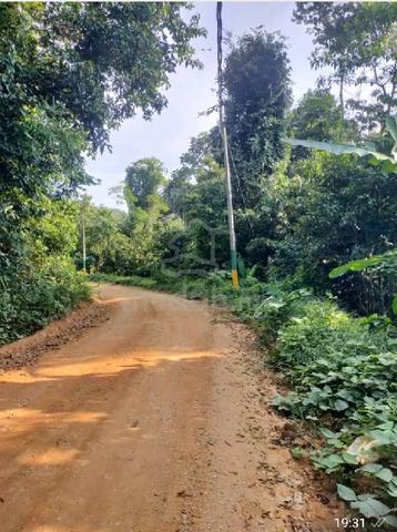 Tanah kebun untuk dijual di Ulu Rokan, Gemencheh 1